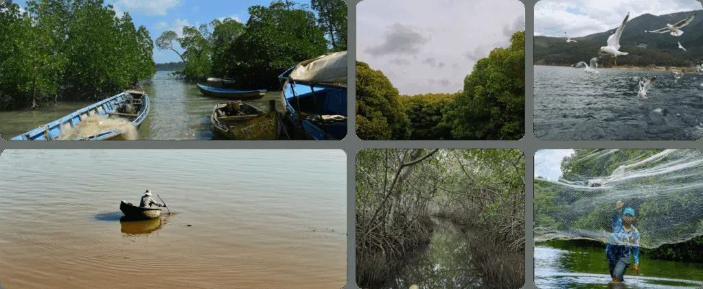 Ecotours Boquilla, Cartagena