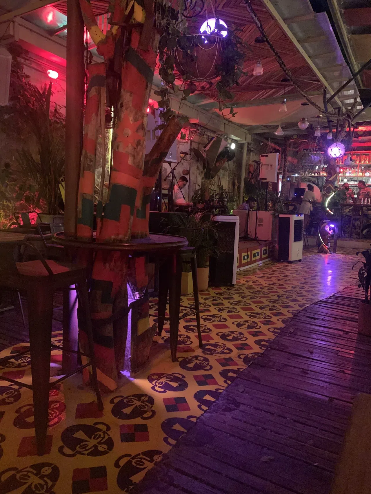 Cartagena After Dark: Where the Bazurto Spirit Still Dances