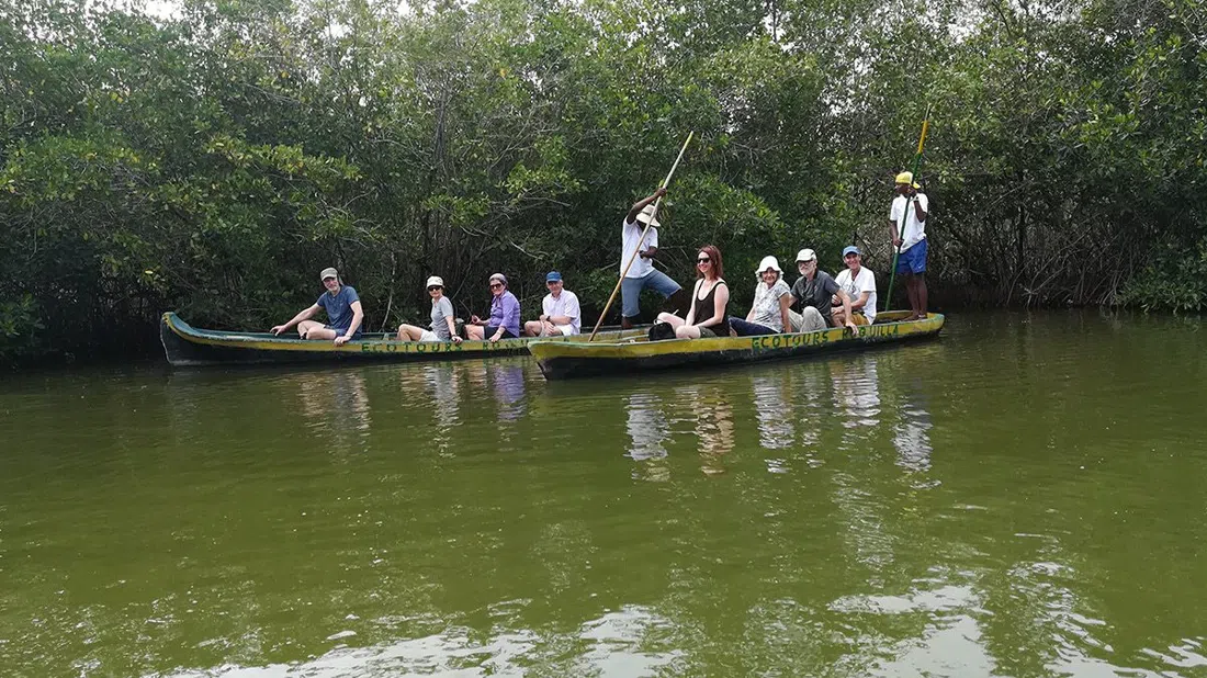 Canoas por los manglares de La Boquilla, Cartagena