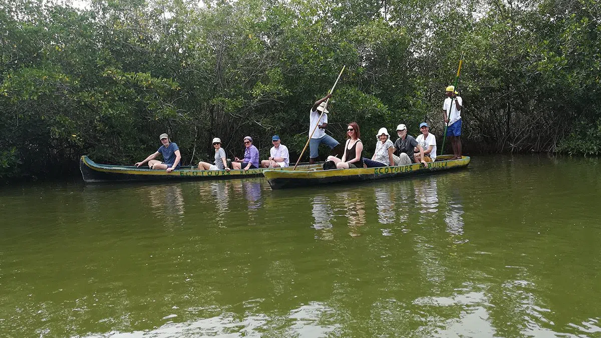 Ecotours Boquilla mangrove canoes, Cartagena